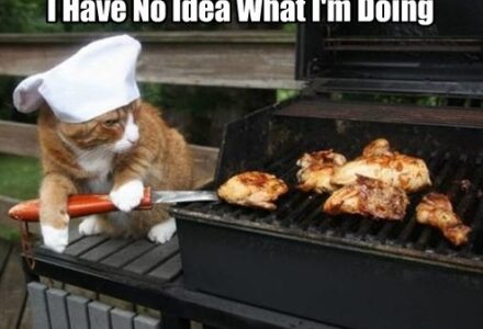cat-grilling