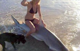 girl riding shark