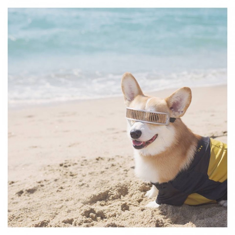 Writtalin SoCal Beach Day Writtalin